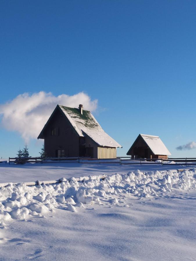 Guest House Holiday Zabljak  Exterior photo