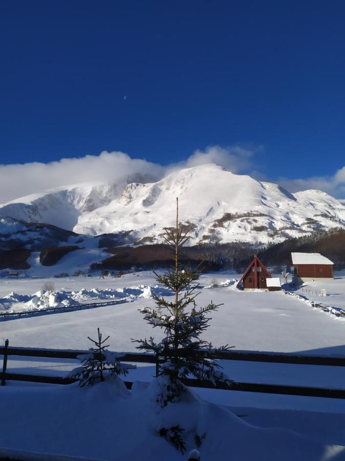 Guest House Holiday Zabljak  Exterior photo