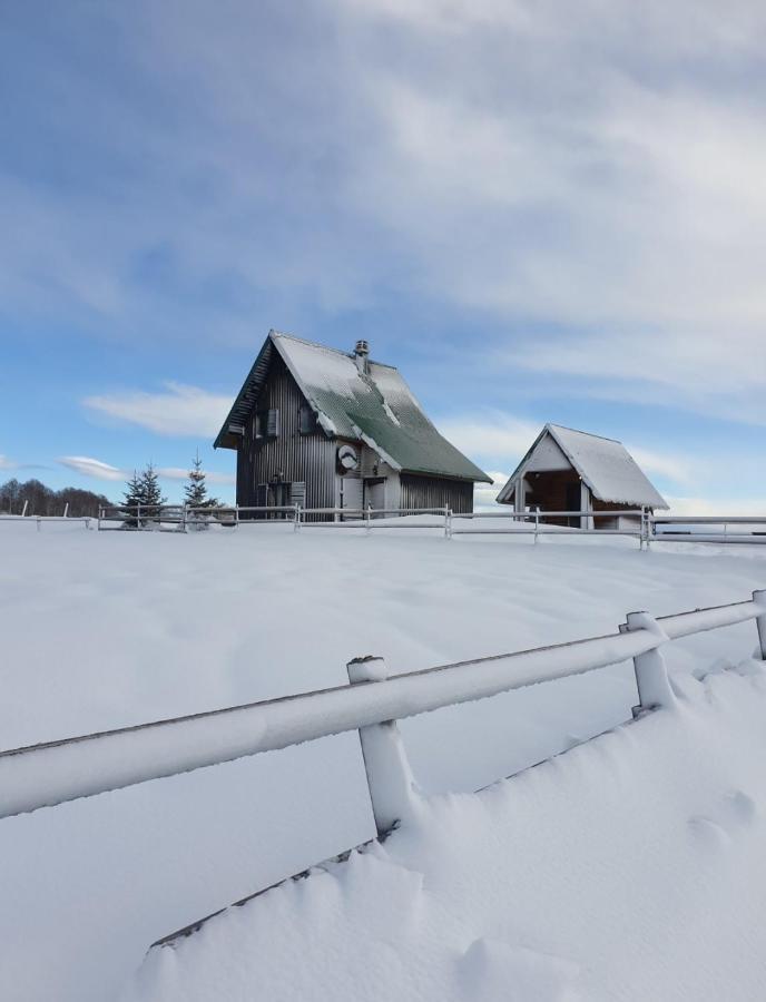 Guest House Holiday Zabljak  Exterior photo